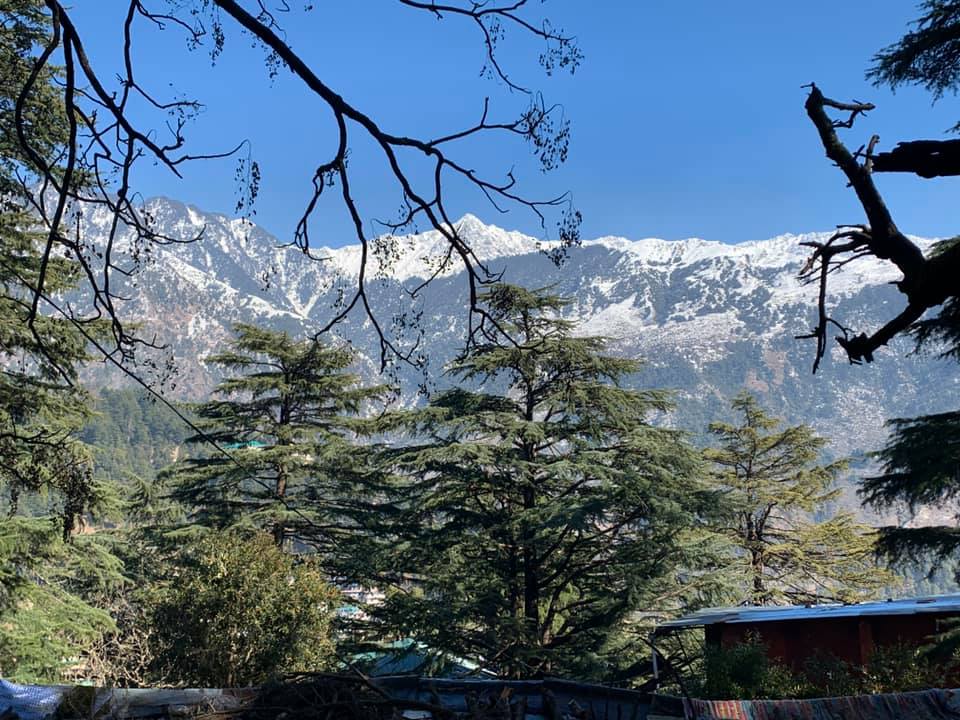 B0148FBC-AF10-41B8-9E3B-583D9E8751B6